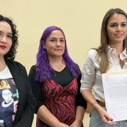 Lorena de la Garza Propone Límites para las Licencias de Gobernadores