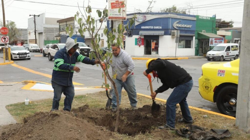  - Capitanes Regios