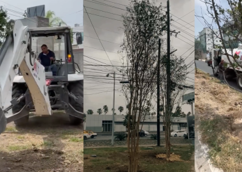 plantan-90-árboles-reforestación-monterrey