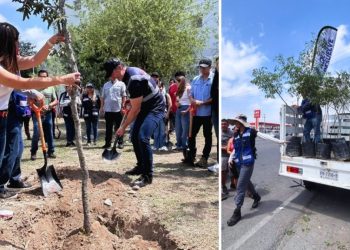 Cuidado-del-medio-ambiente-siembra-de-árboles - Capitanes Regios