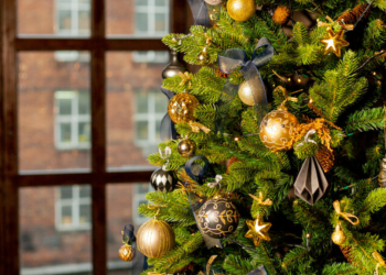 Impacto-ambiental-del-pino-árbol-de-navidad-huella-de-carbono-conafor-reciclaje-forestal - Capitanes Regios